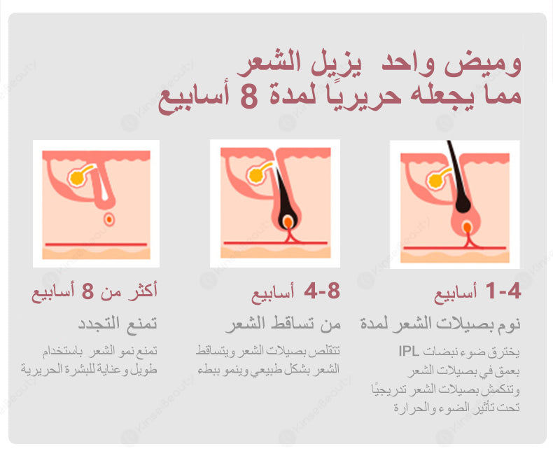 جهاز إزالة الشعر بالليزر المنزلي (HR) T10-MLAY Sapphire